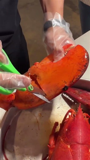 40 million views! Lobster claw of a 7 pound lobster at angry crab shack in Las Vegas!!