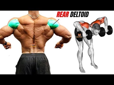 9 BEST REAR DELTOID WOKROU AT GTM / Musculation deltoïde postérieur