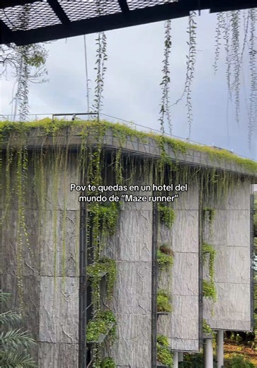 Hotel del Mundo de Maze Runner