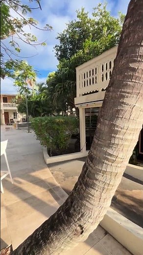 🌴 Escape to Paradise at The Fred Hotel – St. Croix, USVI! 🌊