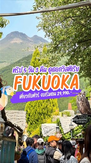 ทริป 5 วัน 3 คืน 🇯🇵🍃 เที่ยวญี่ปุ่น ฟุกุโอกะ ดูดอกวิสทีเรีย งบเริ่มต้น 29,990 เมืองเล็กๆที่น่าอยู่ที่สุดในญี่ปุ่น #ฟุกุโอกะ #fukuoka #yufuin #ยูฟุอิน #beppu #เบปปุ #คิตะคิวชู #kyushu #ญี่ปุ่น #เที่ยวญี่ปุ่น #เที่ยวญี่ปุ่น2026 #ทัวร์ญี่ปุ่น #ทัวร์ญี่ปุ่น2026 #เที่ยวญี่ปุ่นกับทัวร์ #เที่ยวกับทัวร์ #เที่ยวต่างประเทศ #japan #japanese #japantrip #japantravel #ทัวร์ต่างประเทศ #ทัวร์ต่างประเทศราคาถูก #ทัวร์ต่างประเทศคุณภาพดี #พี่หมีเอ็กซ์แอล #เอ็กซ์แอลพาทัวร์ #xlworldtour | XL World Tour