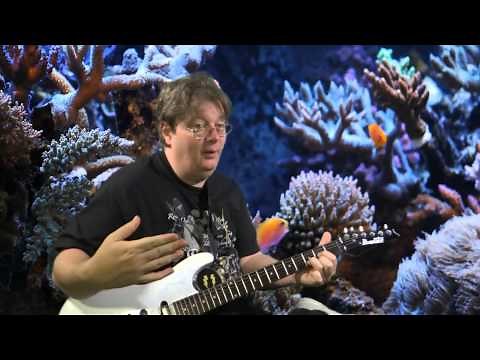 Learn to Play the Guitar - Key of G Major - Chord Progressions and Finger Positions