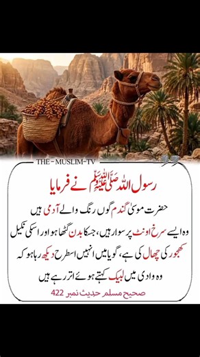 رسول صلی اللہ علیہ والہ وسلم نے ارشاد فرمایا حضرت موسی علیہ السلام