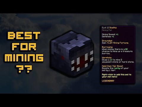 The Way To Obtain New Best Mining Pet Scatha | Hypixel Skyblock