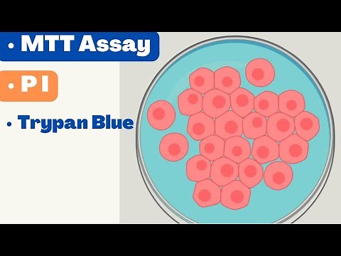 🛑 CELL VIABILITY ASSAYS | MTT Assay | Alamar Blue | Propidium Iodide | Cell TIter Glo