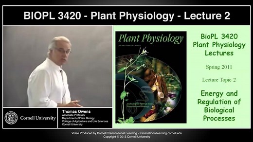 BIOPL3420 - Plant Physiology 植物生理学