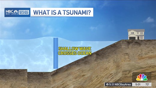 Meteorologist Vianey Arana breaks down what you need to know following the recent tsunami advisory. http://nbcbay.com/mbQcGa5 | NBC Bay Area
