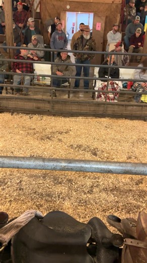 West Tennessee Auction Barn on Reels