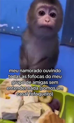 Macaquinho Romântico e Papo Profundo