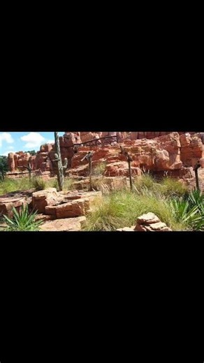 6.8K views · 147 reactions | Walt Disney World Railroad Magic...