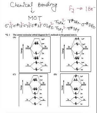The Correct molecular orbital diagram for F2 molecule in the ground state is