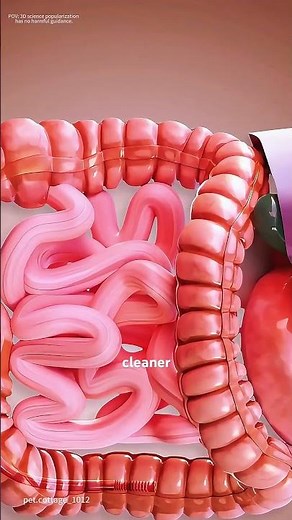Colonoscopy Procedure (3D animation ) #music #doctor #epicmusicword #3danimation