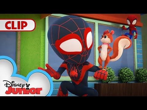 Meet Squirrel Girl 🐿 | Marvel's Spidey and his Amazing Friends | ‪@disneyjr‬