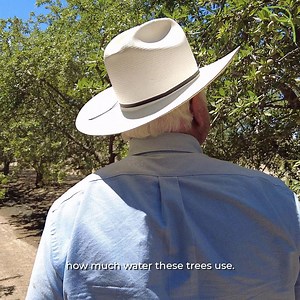 2.6K views · 130 reactions | Farmers are incredibly judicious in their water use. Using techniques such as drip irrigation & moisture sensors, they only give the crops only what they need; nothing more | Western Growers | Facebook