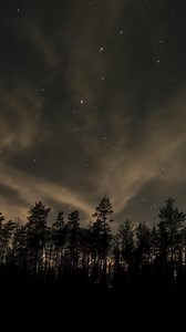 Time lapse of moving stars and clouds over forest in night sky. Epic , vertical footage