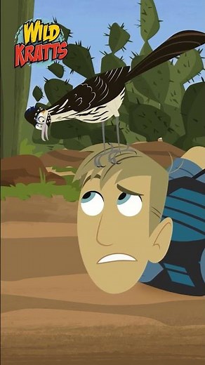 Martin's Turn to Activate Roadrunner Powers | Wild Kratts