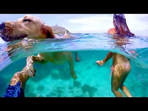 Alexander Tikhomirov in Indonesia. Bali