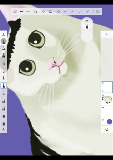 Digital Painting of the Huh Cat!