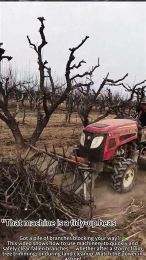 Initiating branch relocation program! 🌿🚀