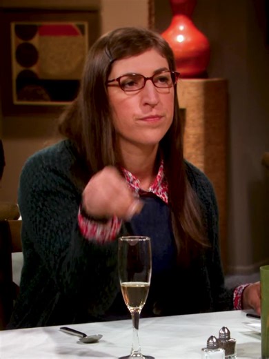 Exploring the Plot of The Big Bang Theory