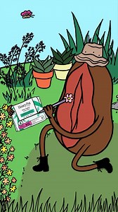 We’ve been drawing something up✨ Our new plant-inspired packaging celebrates the herbs that power our pads (and makes it easier than ever to find the pads you’re looking for!). But don’t worry, our formulas haven’t changed one bit. Blooming in a store near you very soon🌿 | The Honey Pot Company