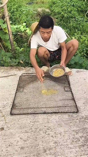 🎣 Amazing Bird Cage Trap Trick 🐦🌿 Easy & Smart Setup 🪤 #pets #birds #villagelife