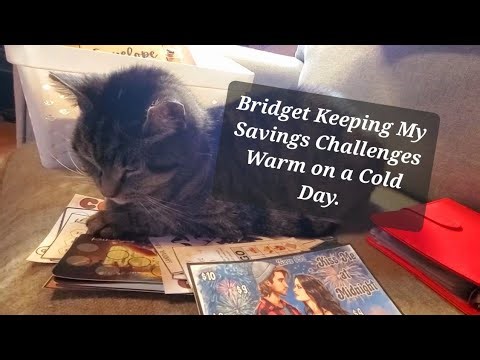 January 2026 Second Paycheck Savings Challenges (& Bridget Videobomb)