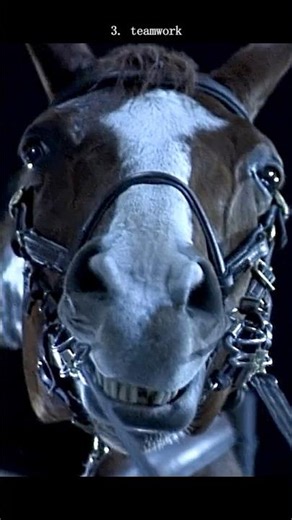 #movie Horse vs. Motorcycle – The Craziest Chase in Action Movie History | True Lies