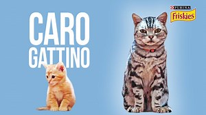Caro Gattino // Presentato da BuzzFeed & Friskies Gatto Scopri Il Mondo Purina Friskies su https://www.friskies.it/gatto | BuzzFeed Partner