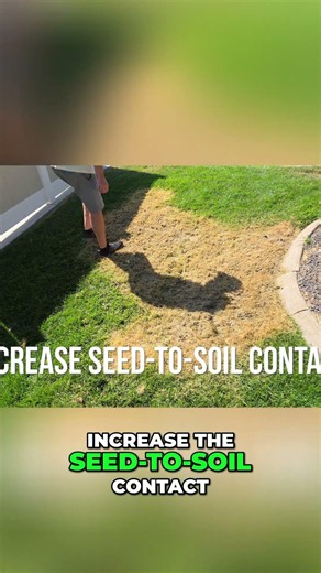 Maximize Grass Seed Germination: Stomp on it!!