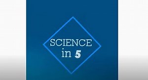 How does air pollution affect our body during the pandemic? Learn about air pollution and COVID-19 from Dr Maria Neira in Science in 5. | World Health Organization (WHO) | Fit | Facebook