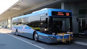 15K views · 240 reactions | VIDEO: Transport Canberra ACTION buses...