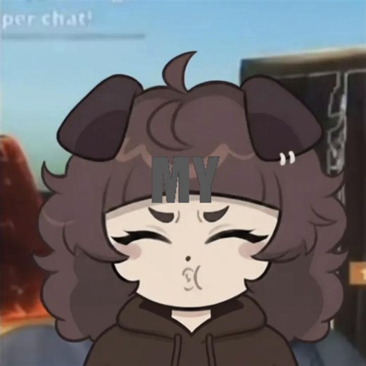 Understanding Echo Communication in Animations