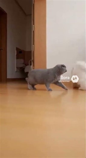 AI animation cat video #cat #pets #3danimation #funnycats