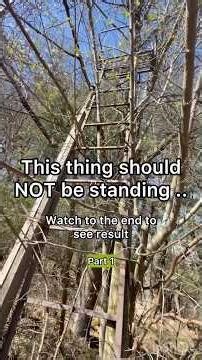 FOURTY YEAR old tree stand, CAN we fix it?? 🌳🔨#hunting #project