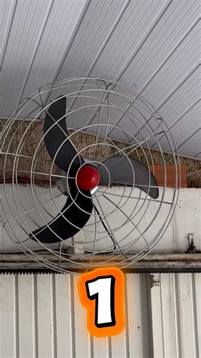 SOLASTER ou CIRRUS? #ventilador