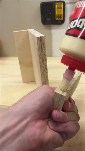 Workbench Tool with Scrap wood #shorts #diy