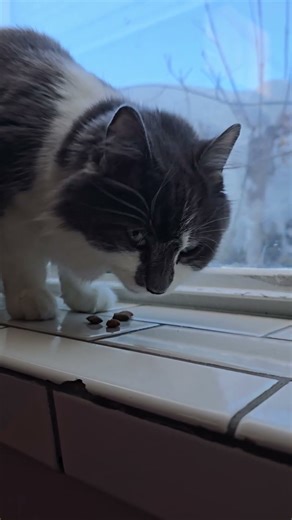 Snack Time with the Snow! ft Snack Monster! #nomnomnom