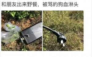 网络上那些沙雕搞笑图片