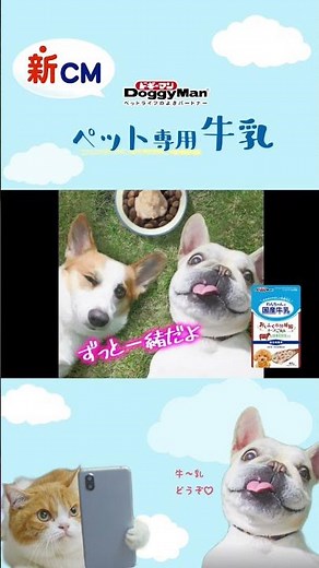 【 #shorts 】🐶🐱牛乳どうぞ🎵🥛新CM登場❣️