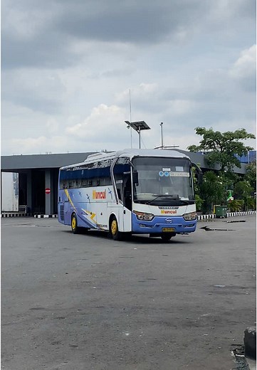 PROBUS Max on TikTok