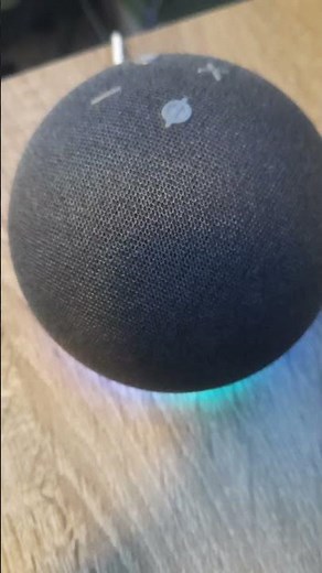 Alexa Self Destruct..