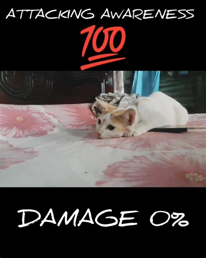 Cute Attack 殺 | Imam Hasan | Facebook