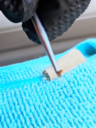 When you get your car detailed, attention to DETAILS matter. At Coleman Detailing, we don't just clean surfaces. We clean the spots even you don't see. When you choose us, you're not getting mediocre; you're getting excellence.