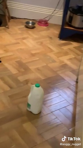 Real Demon Hours Bottle Flip Dance Video