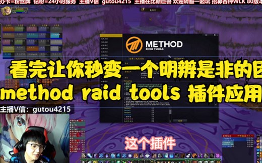 看完让你变成一个明辨是非的团长【method raid tools插件应用】