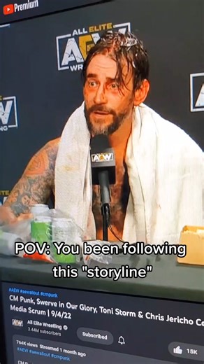 this audio doubles for both men honestly #wwe #AEW #CMpunk #fyp