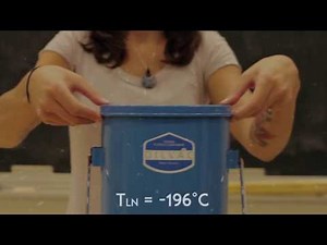 Temperature 3: Absolute Zero