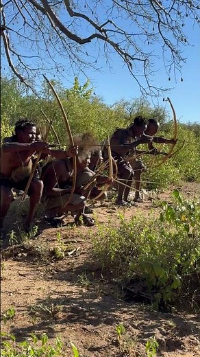 Inside the Hadzabe Tribe: Traditional Hunting in Tanzania's Wild Forest