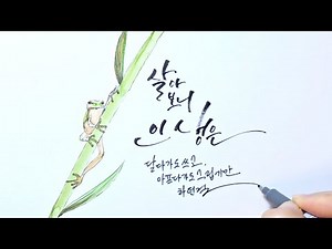 [Calligraphy] 인생에 대한 캘리그라피 쓰기 ✒